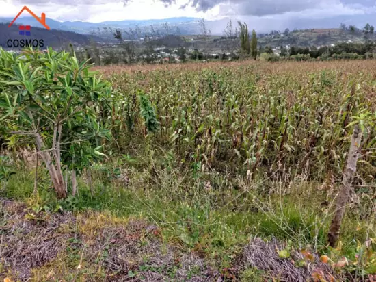 $ 33.000 Terreno de venta en Otavalo sector Quinchuqui